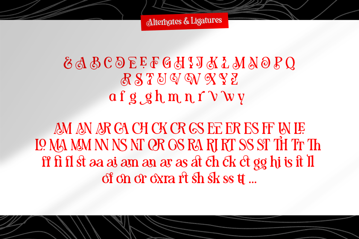 Shigat Serif, a Serif Font by Grontype (Photo 10 of 10)