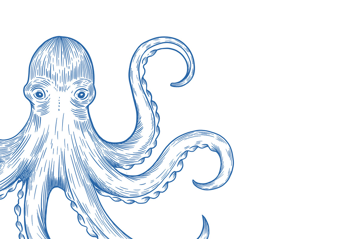 Blue Line Sea Animals PNG Clipart, an Animal Illustration by PatternPalette (Photo 3 of 10)