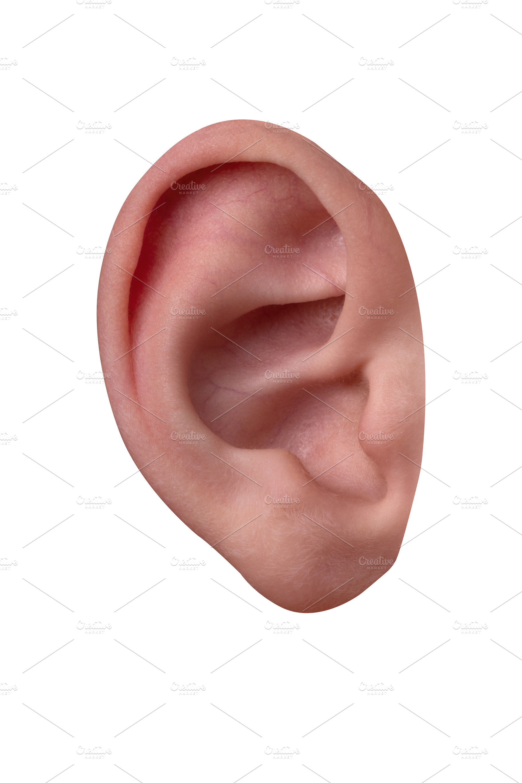 Close-up of a human ear isolated on white background, showing natural skin text, a Person Photo by Ales Munt