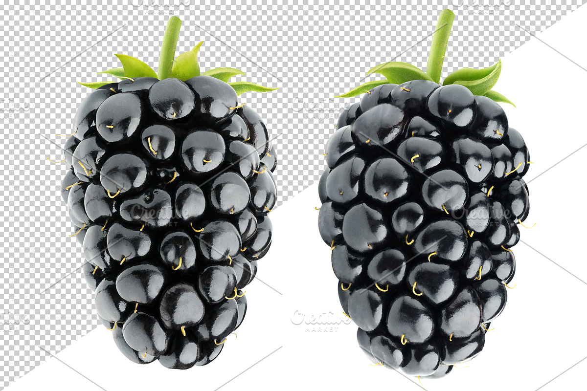 Blackberries with stems preview 3