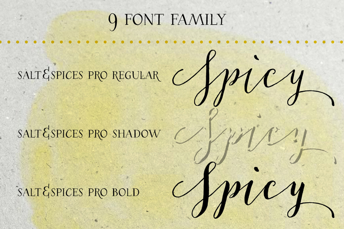 50% OFF Salt & Spices Pro preview 3