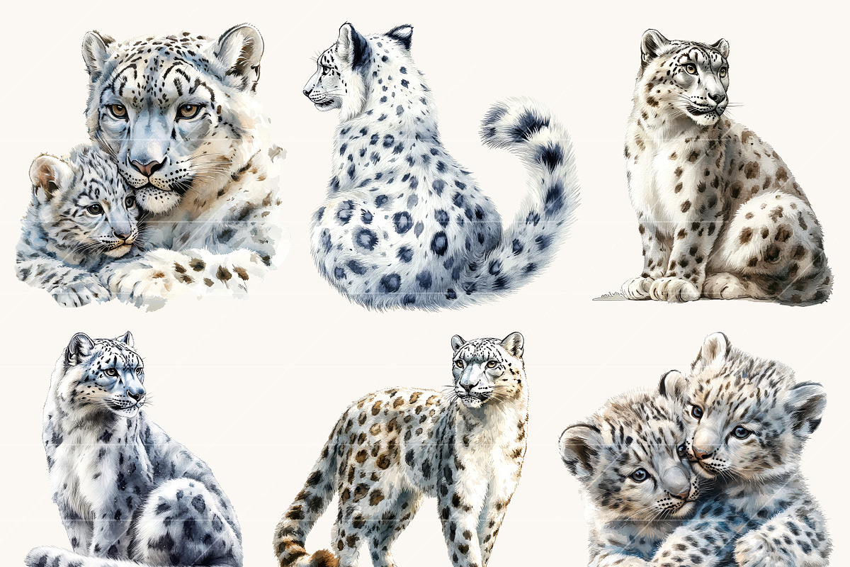 Watercolor Snow Leopard Clipart, an Animal Illustration by Design Scotch (Photo 5 of 8)