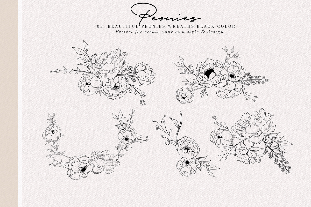 Peonies Hand Draw, an Illustration by Luiz da Rolt Grathwohl (Photo 6 of 8)