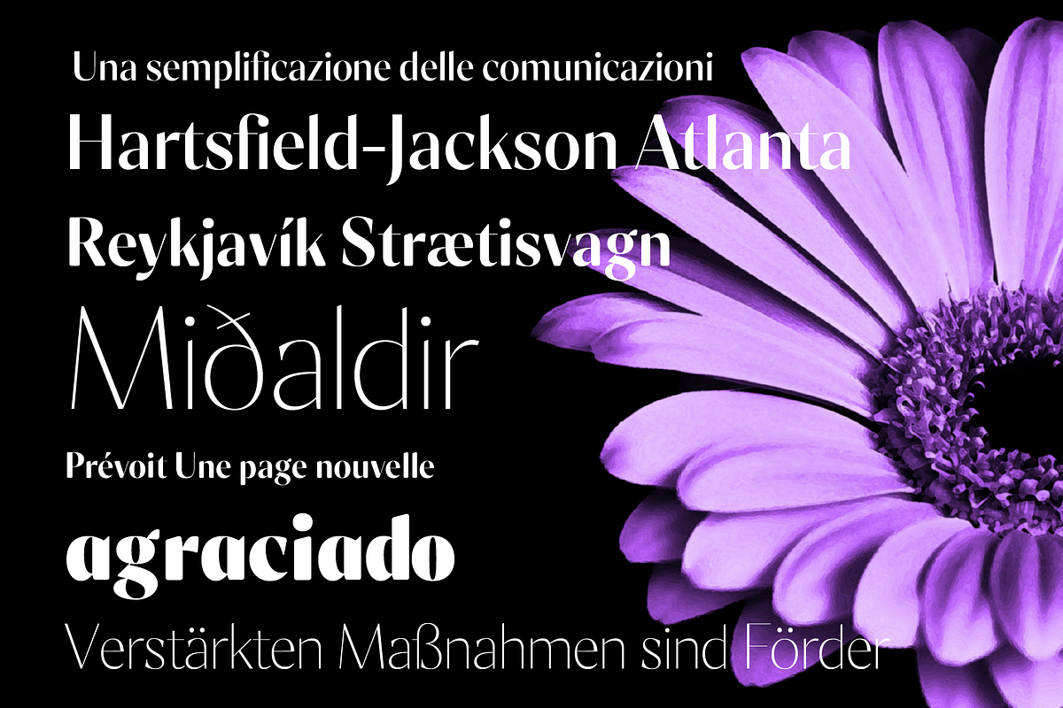 Milago Font Family, a Sans Serif Font by OzType (Photo 3 of 11)