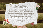 The Sunny Field Font Duo, a Script Font by Creacy Studio (Thumbnail 3 of 10)