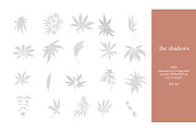 Hemp/Marijuana Shadows & MockUp, a Mockup by Jeanina Vlad (Thumbnail 3 of 17)