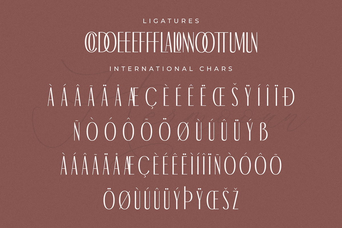 Hermooun Ligatures Sans Serif Font, a Sans Serif Font by Storytype Studio (Photo 14 of 15)