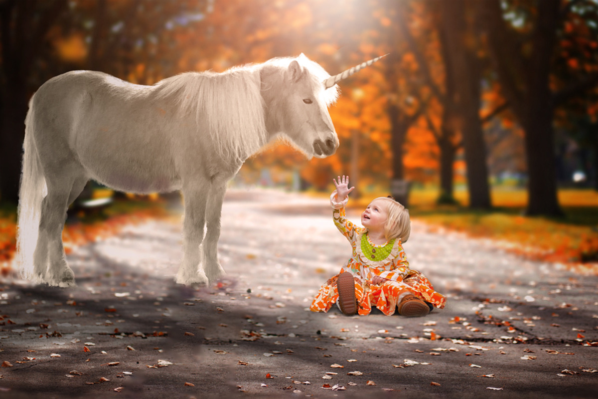 Autumn Backdrops - 7 Digital preview 4
