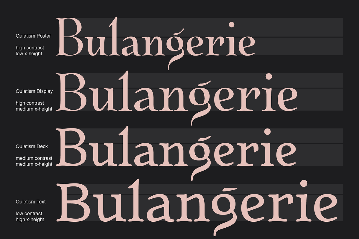Quietism Variable font, a Serif Font by Michael Rafailyk (Photo 4 of 9)