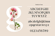 Podrich - Timeless Logo Font, a Serif Font by Asenbayu (Thumbnail 2 of 14)