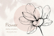 Flower. Line art sketch and patterns, a Decorative Illustration by Canatic (Thumbnail 1 of 7)