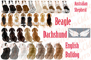 Dog Breeds Clipart,Dogs clip art, an Illustration by chilipapers (Thumbnail 2 of 4)