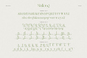 Mallong Typeface, a Serif Font by alit design (Thumbnail 9 of 17)