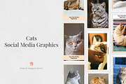 Everything Instagram Bundle, a Social Media Template by Social Corner Graphics (Thumbnail 74 of 145)