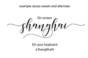 paradise calligraphy modern + Bonus, a Script Font by Teweka (Thumbnail 6 of 8)