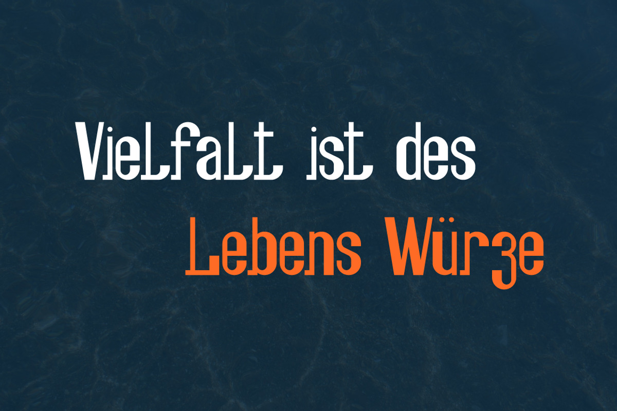 Fesch | bottom-left slab serif font preview 3