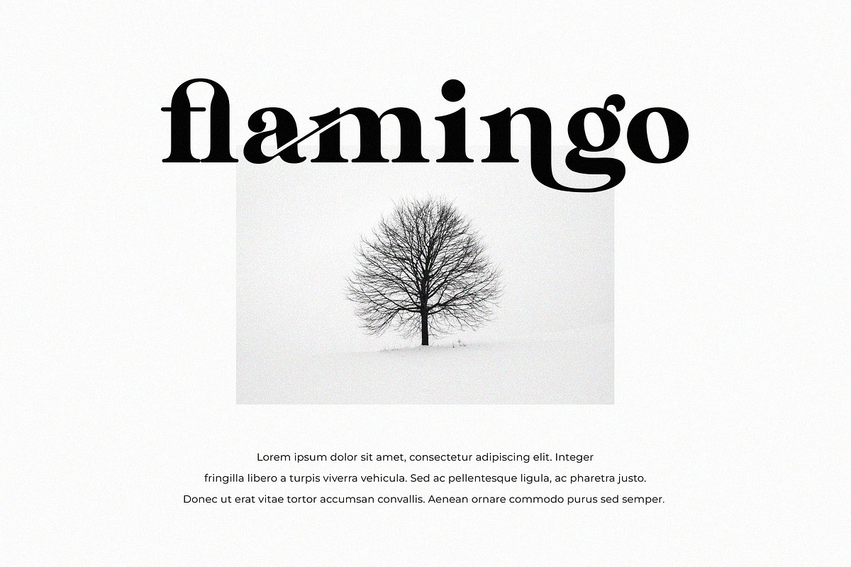 Rolland Ligature Serif Font Typeface, a Serif Font by Graphicxell (Photo 5 of 10)