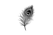 Peacock Feather Silhouette Bundle, an Illustration by jahid234 (Thumbnail 22 of 31)