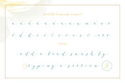 Joleni Modern Calligraphy font, a Script Font by By Lef (Thumbnail 5 of 11)