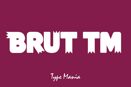Brut TM – Cozy Typeface, a Sans Serif Font by Type Mania