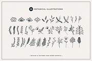 Floral Logo Graphics Bundle, a Decorative Illustration by Kin Design (Thumbnail 3 of 11)