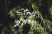 Marceline Script, a Script Font by Sarten (Thumbnail 2 of 8)