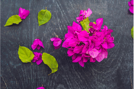 Spring purple flowers and spring, a Food & Drink Photo by Elizaveta Galitskaya