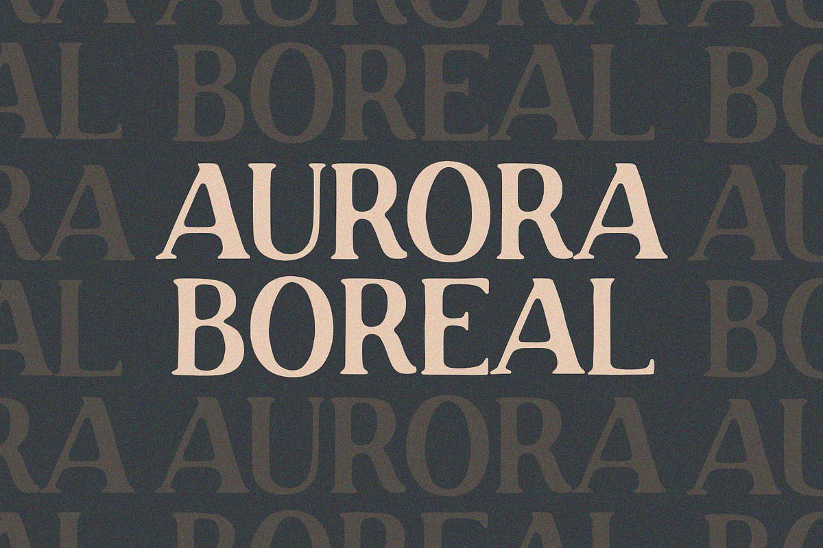 Roadster - Rough Display, a Script Font by Alpaprana (Photo 3 of 9)