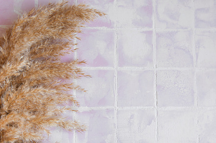 Flatlay of pampas grass on tile background, an Abstract Photo by Olena Rudo