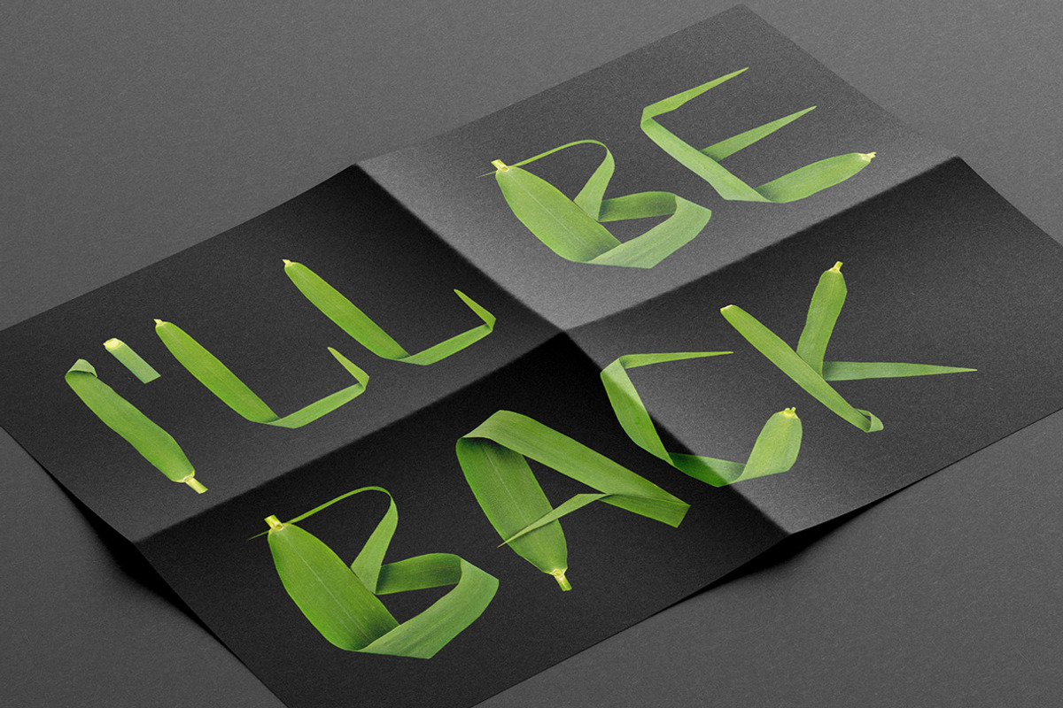 Reed Font, a Font by Handmadefont (Photo 5 of 9)