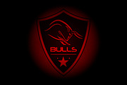 Great set sport logo (60off), an Animal Illustration by pashigorov (Thumbnail 1 of 16)