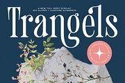 Trangels New Tall Serif Display, a Serif Font by timelesstype.co (Thumbnail 1 of 20)