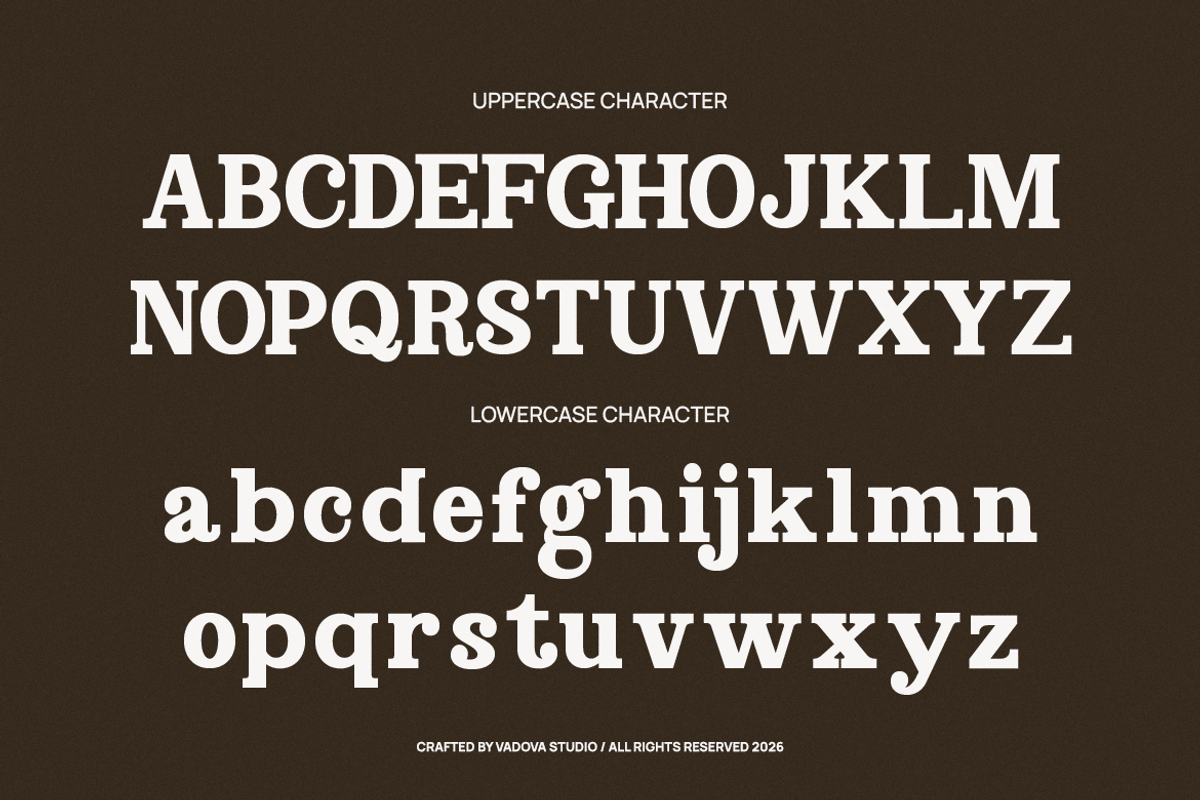 Norvane Decorative Serif Font, a Serif Font by Vadovastd (Photo 2 of 9)