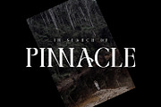 Georgia Decorative Typeface, a Serif Font by Foxtype (Thumbnail 7 of 8)