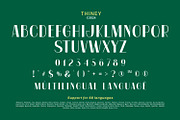 Thiney, a Sans Serif Font by yumnatype (Thumbnail 10 of 10)