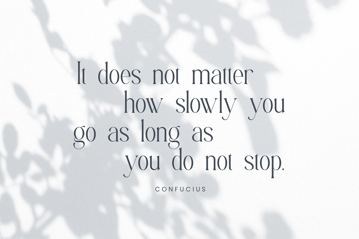 Aligin Serif - Modern Serif Font, a Serif Font by Idea Studio (Photo 9 of 12)