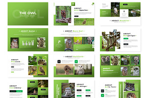 The Owl - Keynote Template