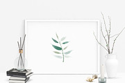 Watercolour Plants & Branches, an Illustration by GraphicSupplyCo. (Thumbnail 2 of 7)
