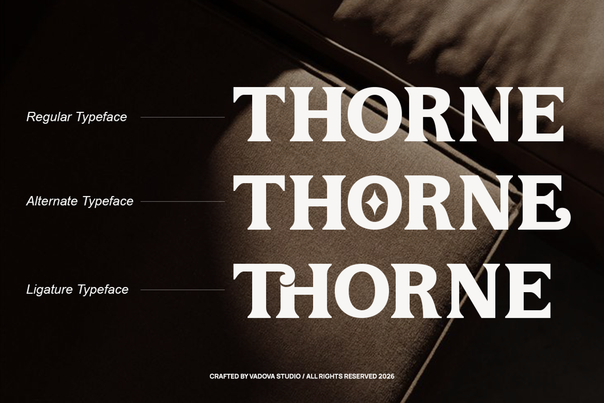 Corviane Bold Serif Font, a Serif Font by Vadovastd (Photo 5 of 8)