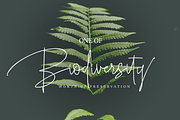 Roselle, a Script Font by GRAPHICPRESS (Thumbnail 7 of 9)