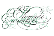 Indenture English Penman, a Script Font by Intellecta Design (Thumbnail 3 of 5)