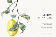 Lemons Botanical Illustrations, a Food Illustration by Tilling (Thumbnail 7 of 7)
