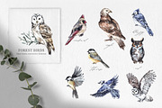 Forest Legends Winter animal set, a Seasonal Illustration by Anastezia Luneva (Thumbnail 5 of 17)