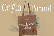 Ceyla Unfocus, a Serif Font by Craft Supply Co. (Thumbnail 4 of 8)