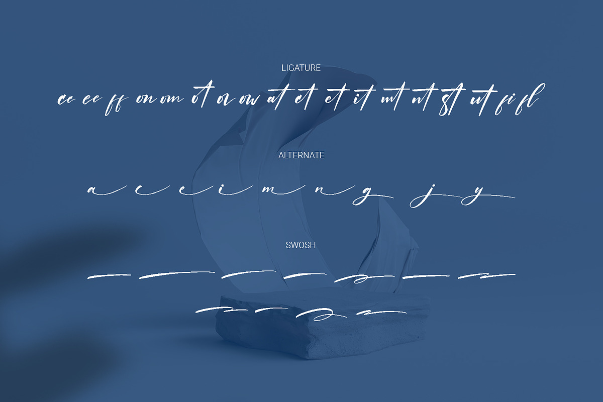 Hinora Signature Elegant Script Font, a Script Font by RHD Creative Studio (Photo 12 of 12)