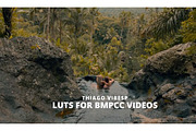 BMPCC LUTs + Website Template HTML, a Preset Add-On by Creative House (Thumbnail 3 of 11)