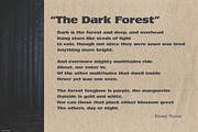 Bachman | Dark Display Type!, a Serif Font by StudioWorks (Thumbnail 4 of 8)