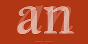 Athanasius PRO, a Serif Font by preussTYPE (Thumbnail 5 of 10)