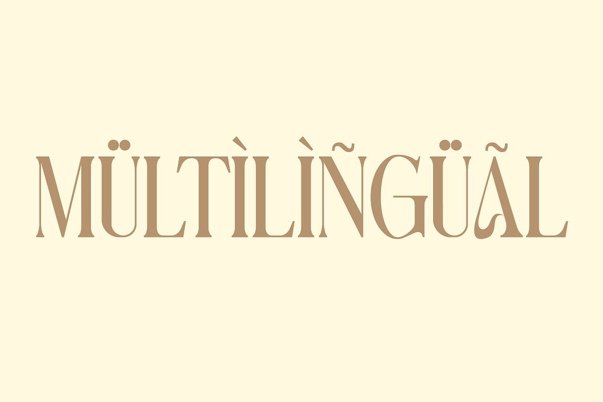 Anova a Elegant & Modern Serif, a Serif Font by Lettertype Studio (Photo 14 of 15)