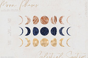 Celestial Kit, an Animal Illustration by Julia Dreams (Thumbnail 10 of 13)